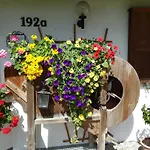 Manuela & Haus Michael Διαμέρισμα *