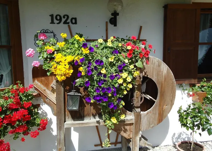 Manuela&haus Michael Apartment *